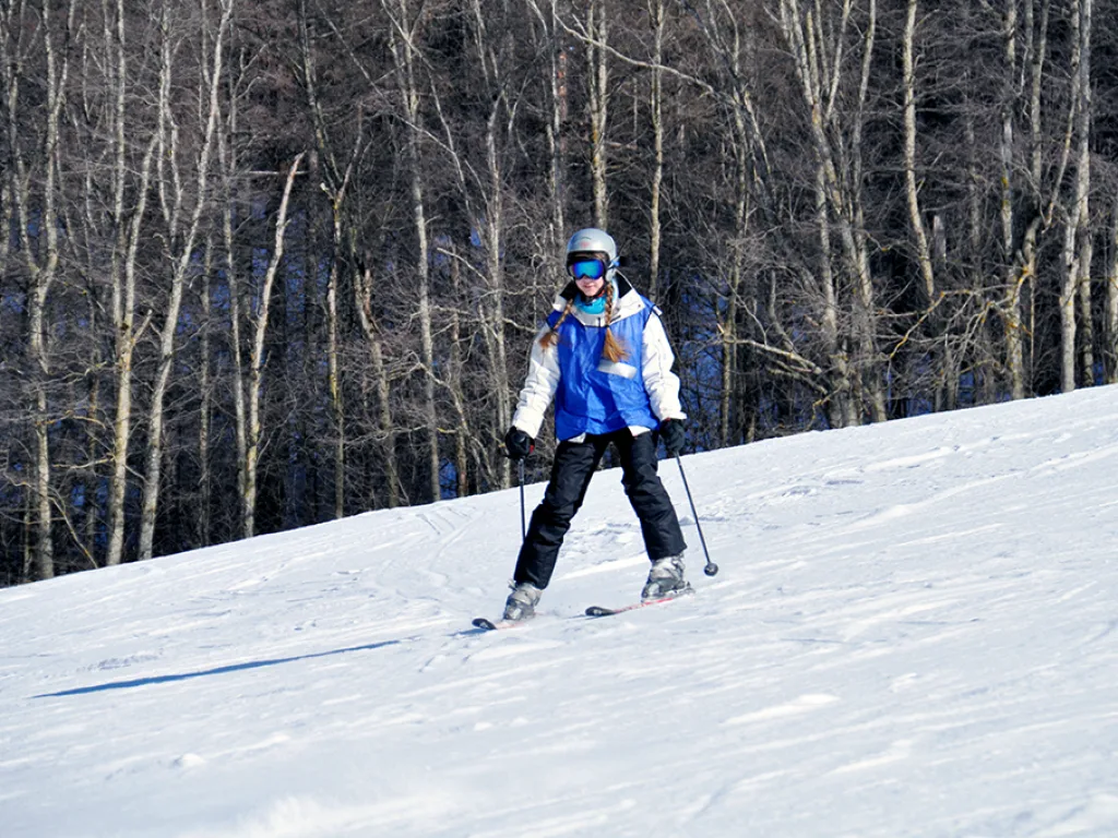 Skifahrerin auf der Piste vor kahlen Bäumen.